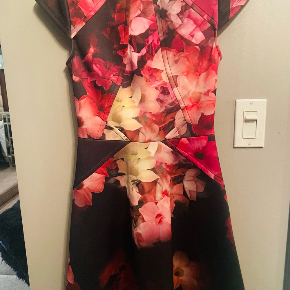 Ted Baker classic a line dress sz 1